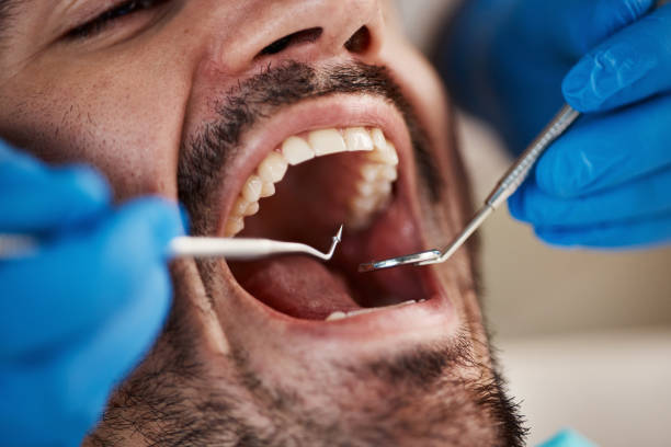 Best Orthodontic Emergency Dentist in Ddanelle, AR